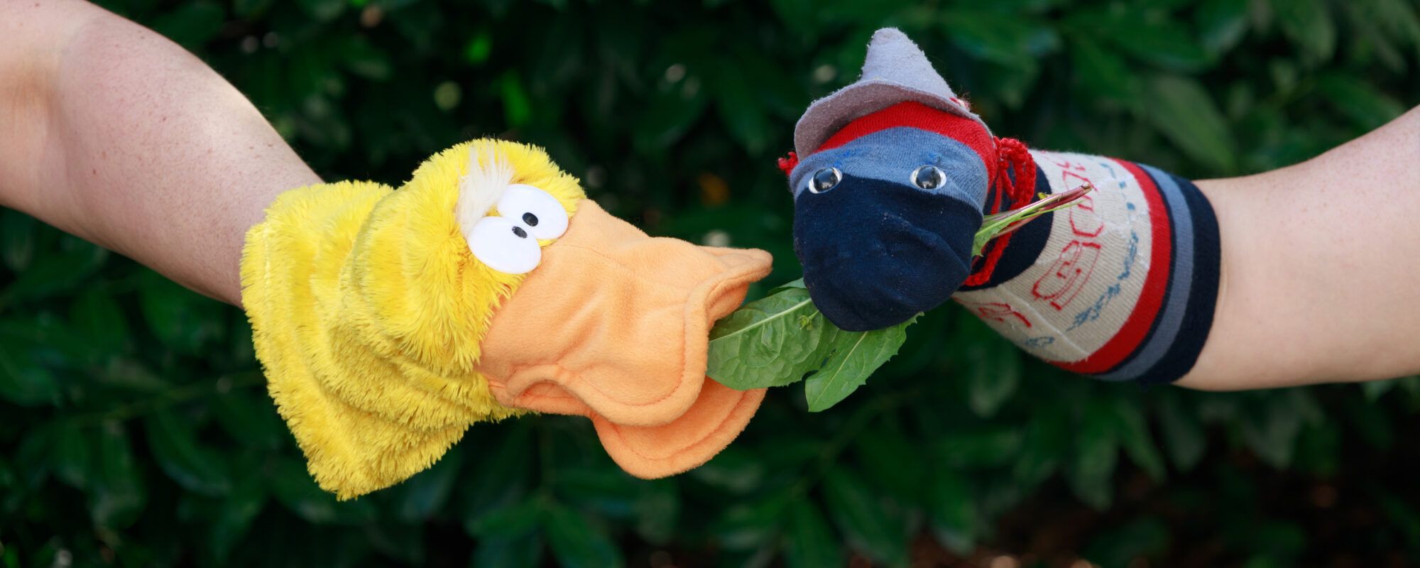Schlampatatsch und Billywurm