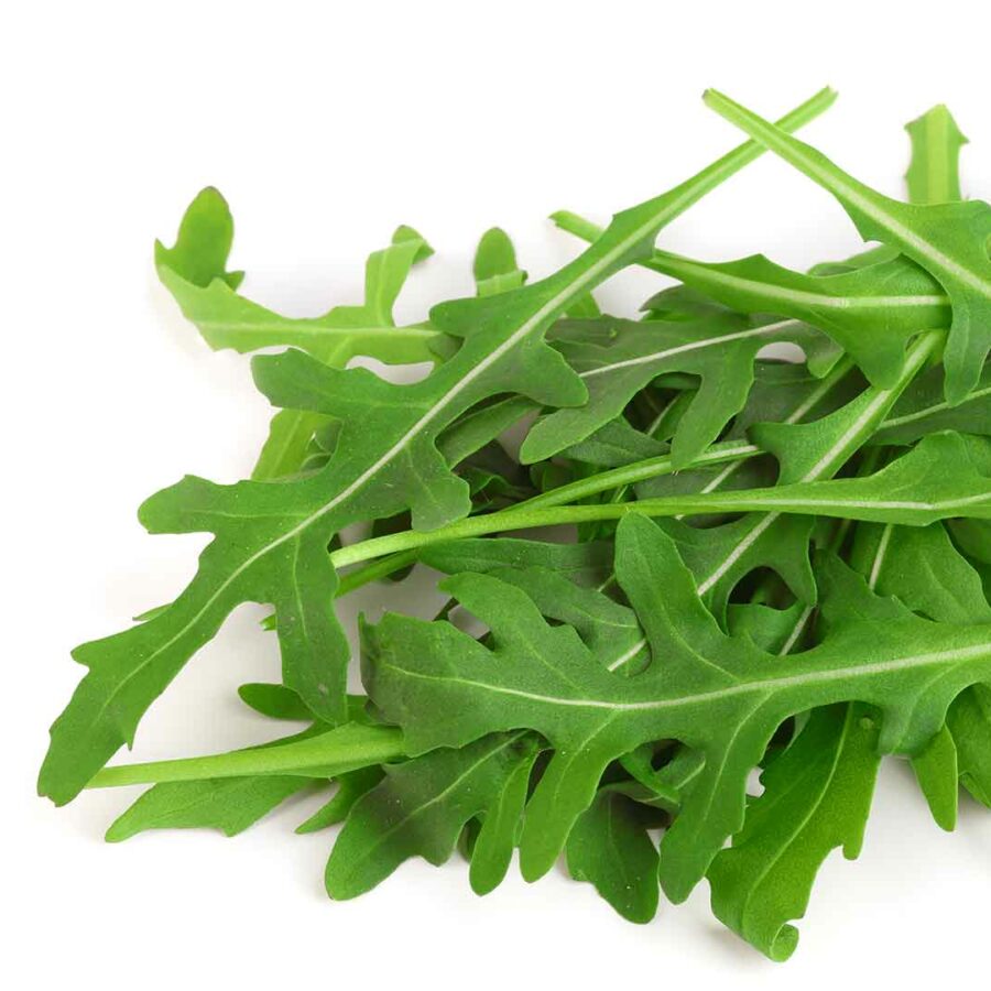 Rucola